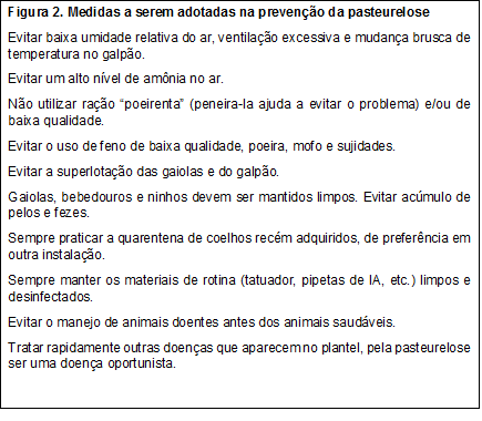 medidas.png